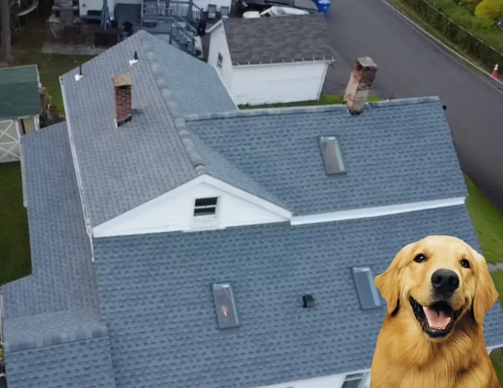Aerial view of a grey shingle roof with skylights and brick chimneys